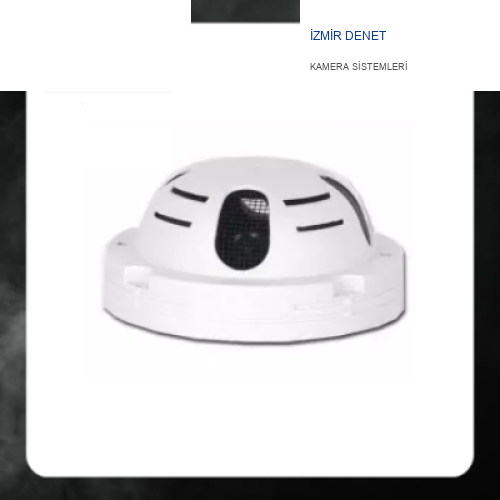 Duman Dedektörü Görünümlü Ahd 1080P 2 MP Dome Kamera ARNA-2128