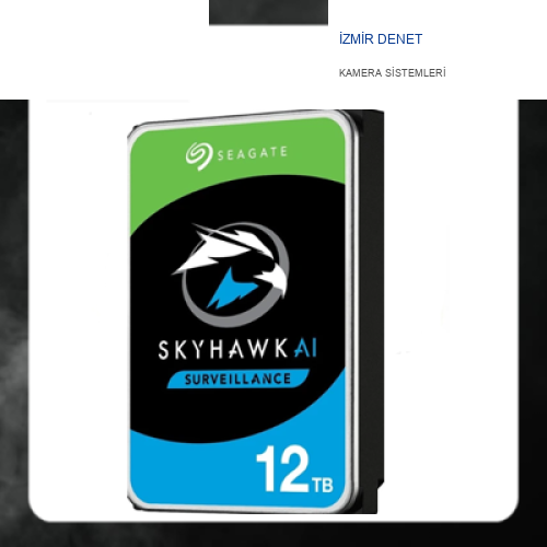 SEAGATE SKYHAWK 3.5" 12 TB HDD GÜVENLİK DİSKİ