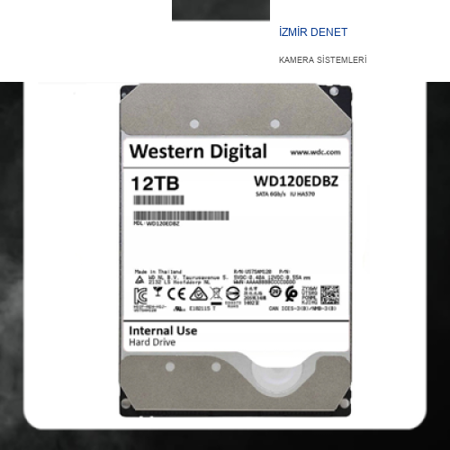 WESTERN DİGİTAL WD120EDBZ 12 TB 3,5" SATA 3.00 GÜVENLİK HARDDİSKİ