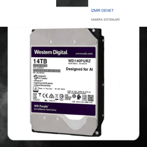WESTERN DIGITAL 14 TB WD140PURZ GÜVENLİK DİSKİ