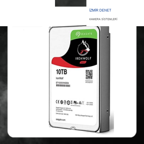 Seagate Ironwolf Nas 10 TB ST10000VN0008 SATA 3.0 7200 RPM 3,5 inç Harddisk