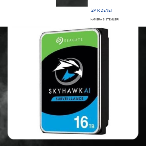 Seagate Skyhawk AI 16 TB  ST16000VE002 SATA 3 7200RPM 256MB GÜVENLİK HARDDİSKİ
