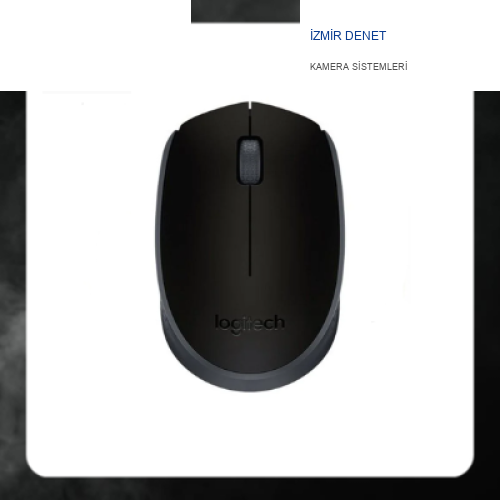 Logitech M171  Siyah Optik Wireless Kablosuz Mouse